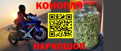 индика Анапа