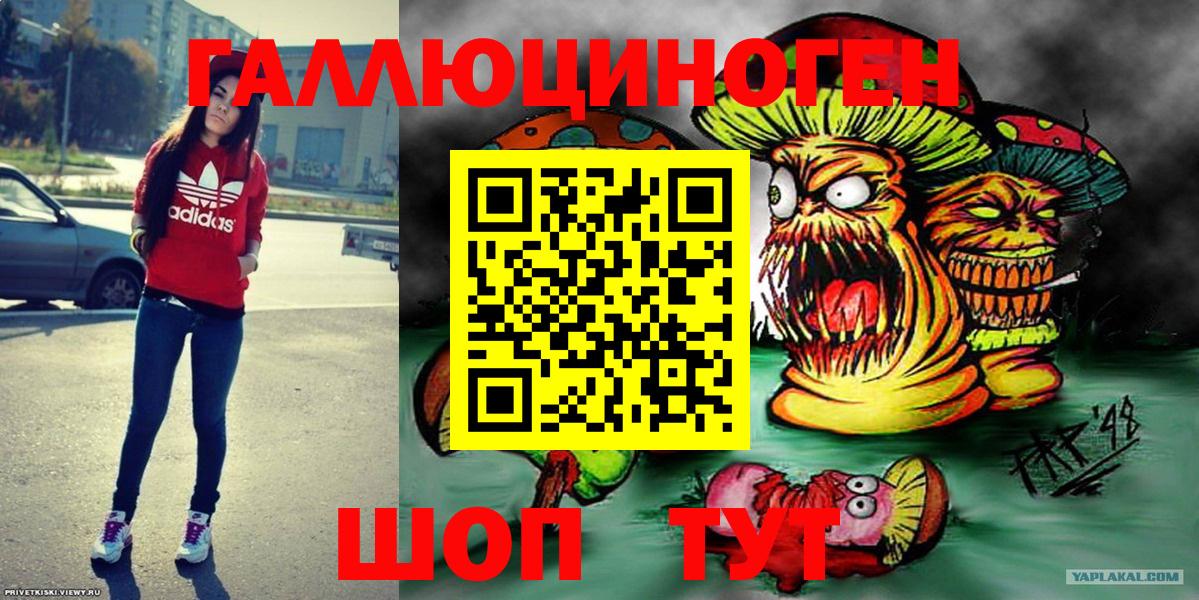 Галлюциногенные грибы Magic Shrooms  Вход с VPN  Галлюциногенные грибы GOLDEN TEACHER  Бердск 